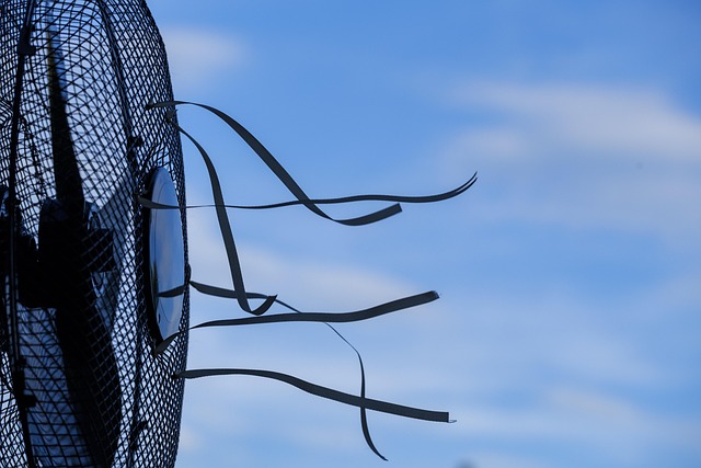 Evelyn Allen joins MaRS Discovery District Solve for X podcast